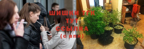 ПСИЛОЦИБИНОВЫЕ ГРИБЫ Аркадак