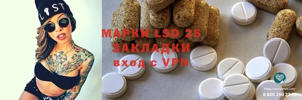 ПСИЛОЦИБИНОВЫЕ ГРИБЫ Аркадак