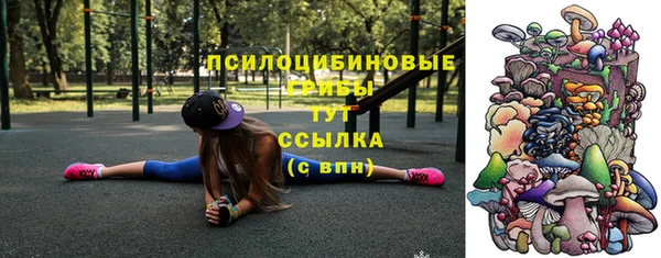 ПСИЛОЦИБИНОВЫЕ ГРИБЫ Аркадак